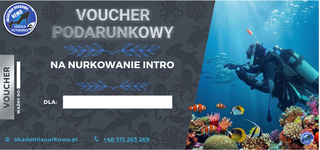 Grafika z sylwetką nurka pod wodą - sekcja kursów nurkowania